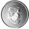 2016-1-5-oz-silver-canadian-snow (1)