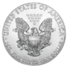 2019-1oz-american-silver-eagles (3)