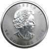 Canadian Platinum Maple Leaf