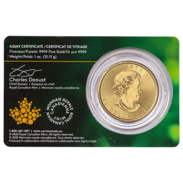2022-g50d-gold-maple-single-sour (1)
