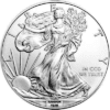 1 oz American Eagle Silver Coin