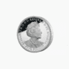 Mahatma Gandhi 2021 UK £5 Brilliant Uncirculated Coin