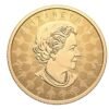 2024 $200 Proud Maple Pure Gold Coin in 1 oz .9999 pure gold with maple leaf design